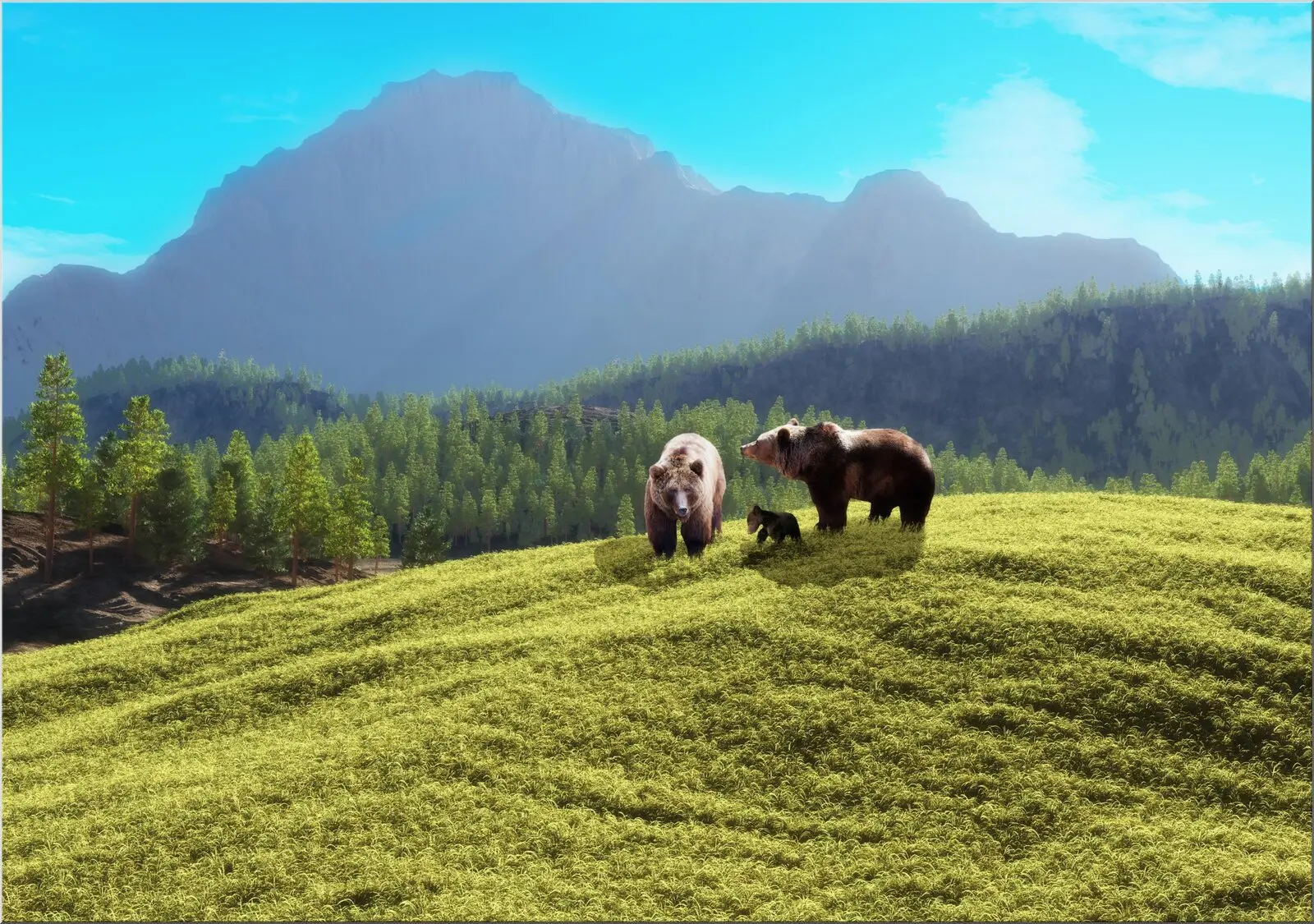 Postkarte mit weiter wilder Landschaft und Bärenfamilie