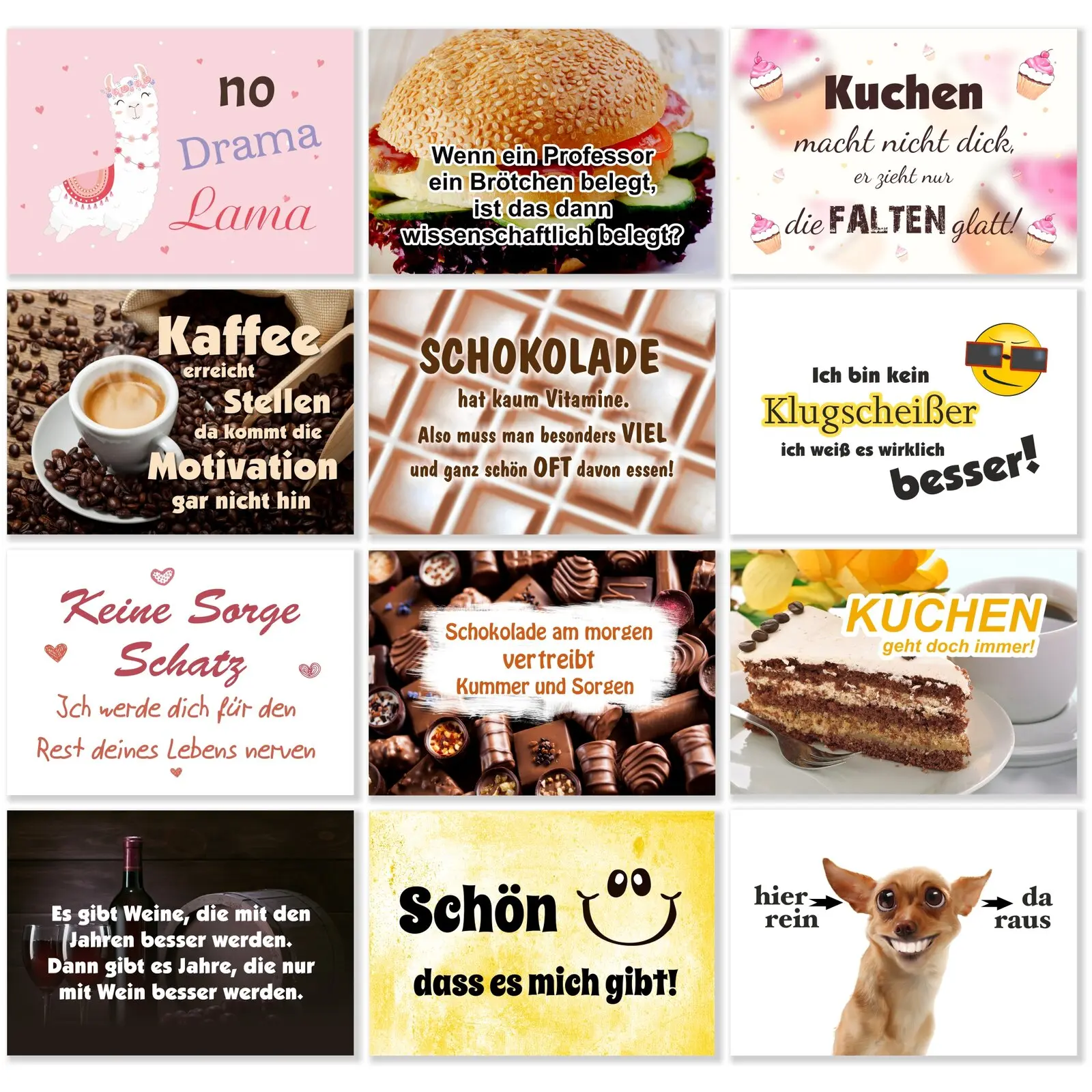 12 Stück lustige Sprüchepostkarten Hund Schokolade