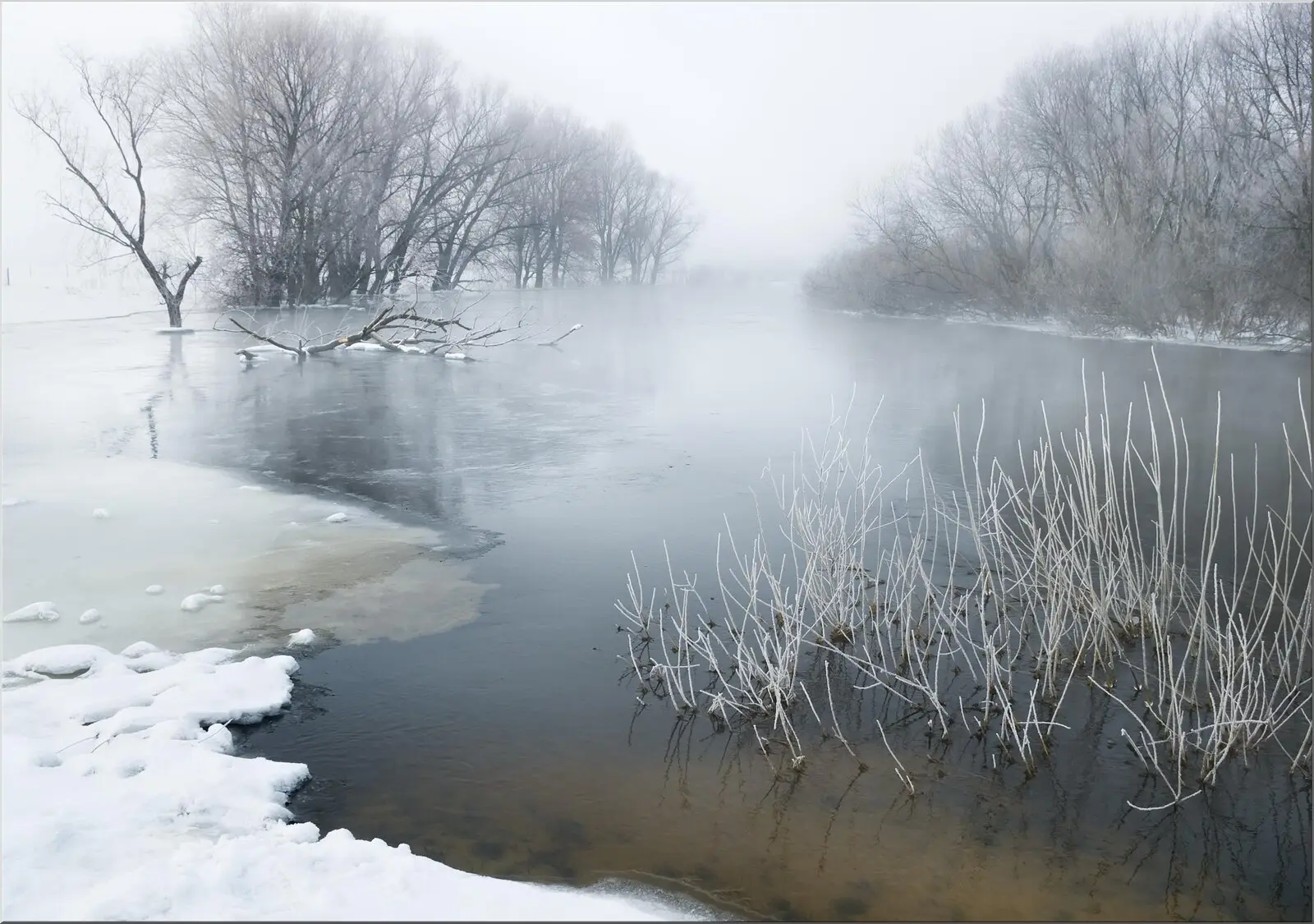 Postkarte grau weiße Winterlandschaft Bäume bei Frost Wasser