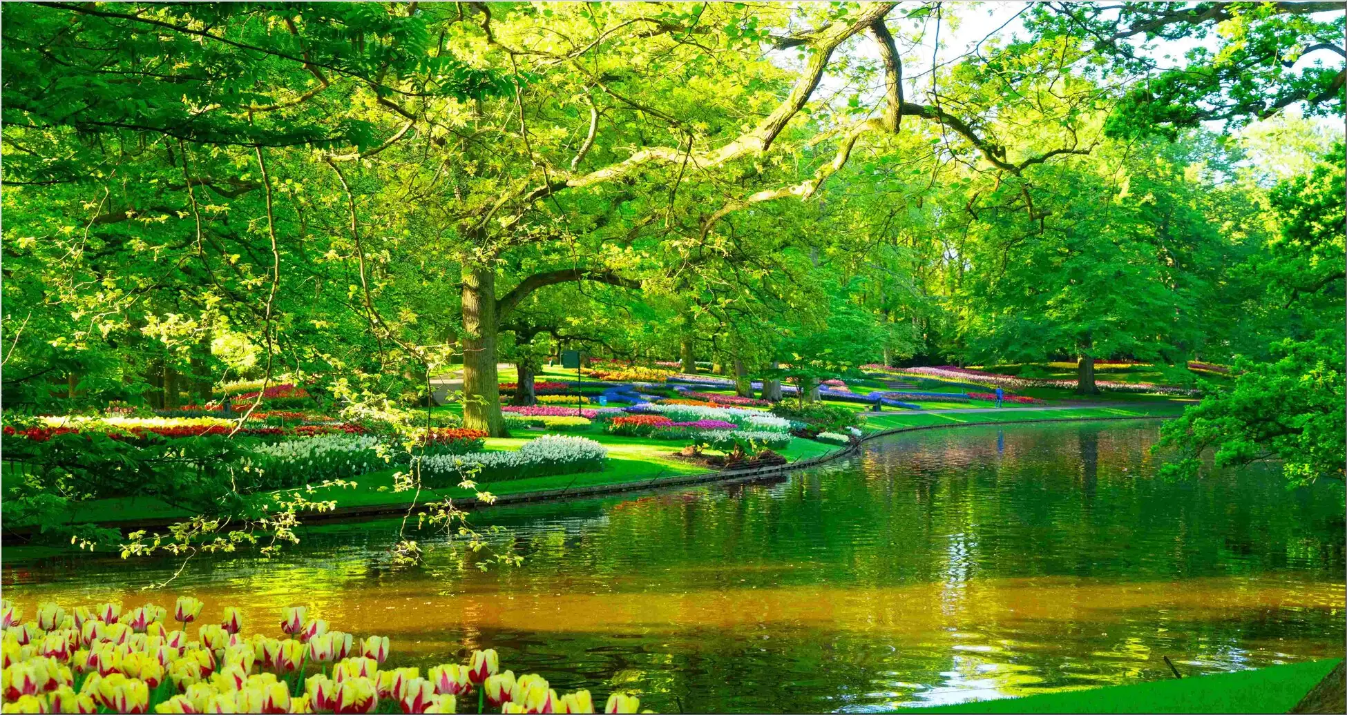 Postkarte Im Maxi Format Teich Im Park Postkarte Im Maxi Format Teich Im Park