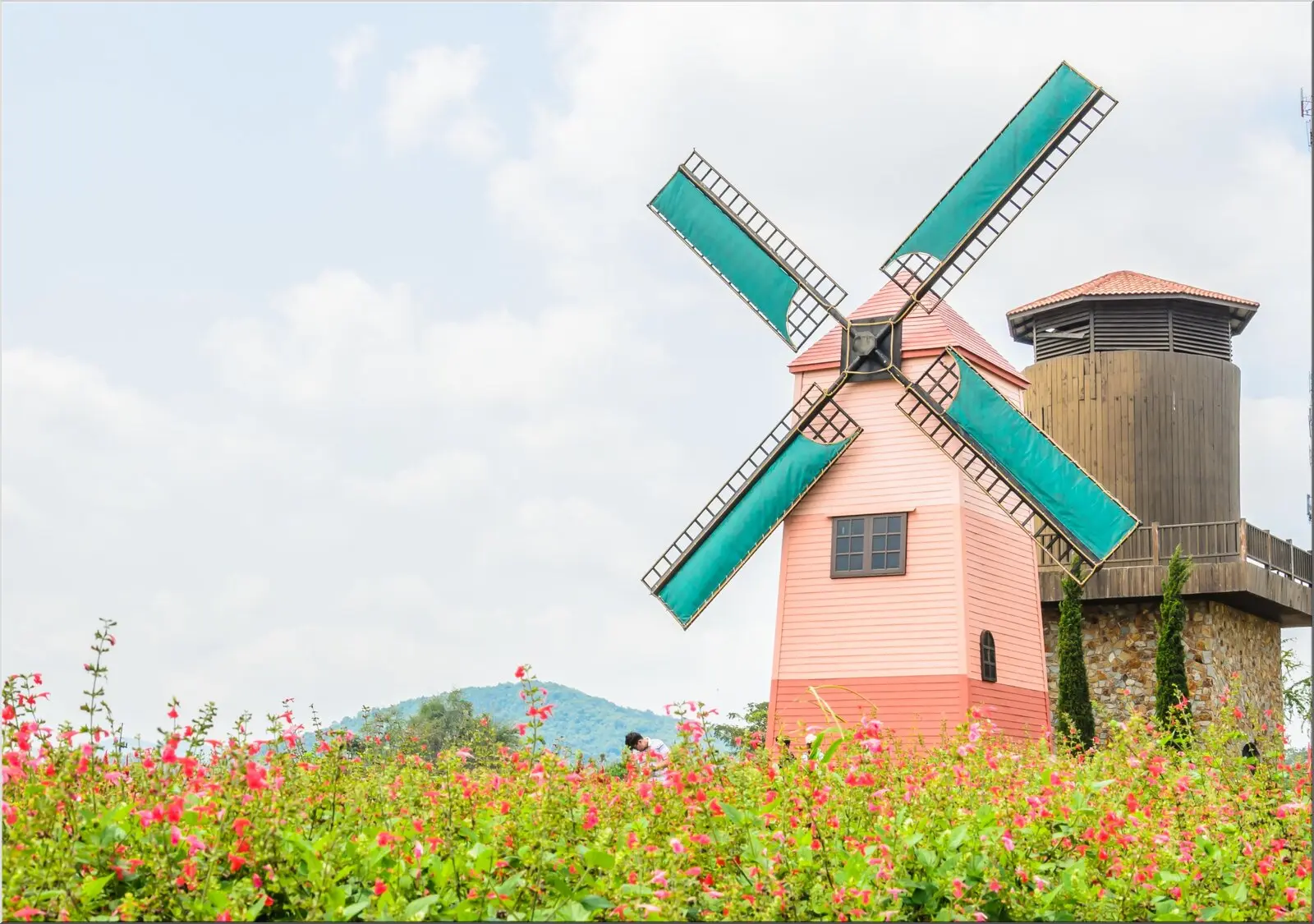 Windmühle als Motiv auf Din A6 Postkarte mit Blumenwiese