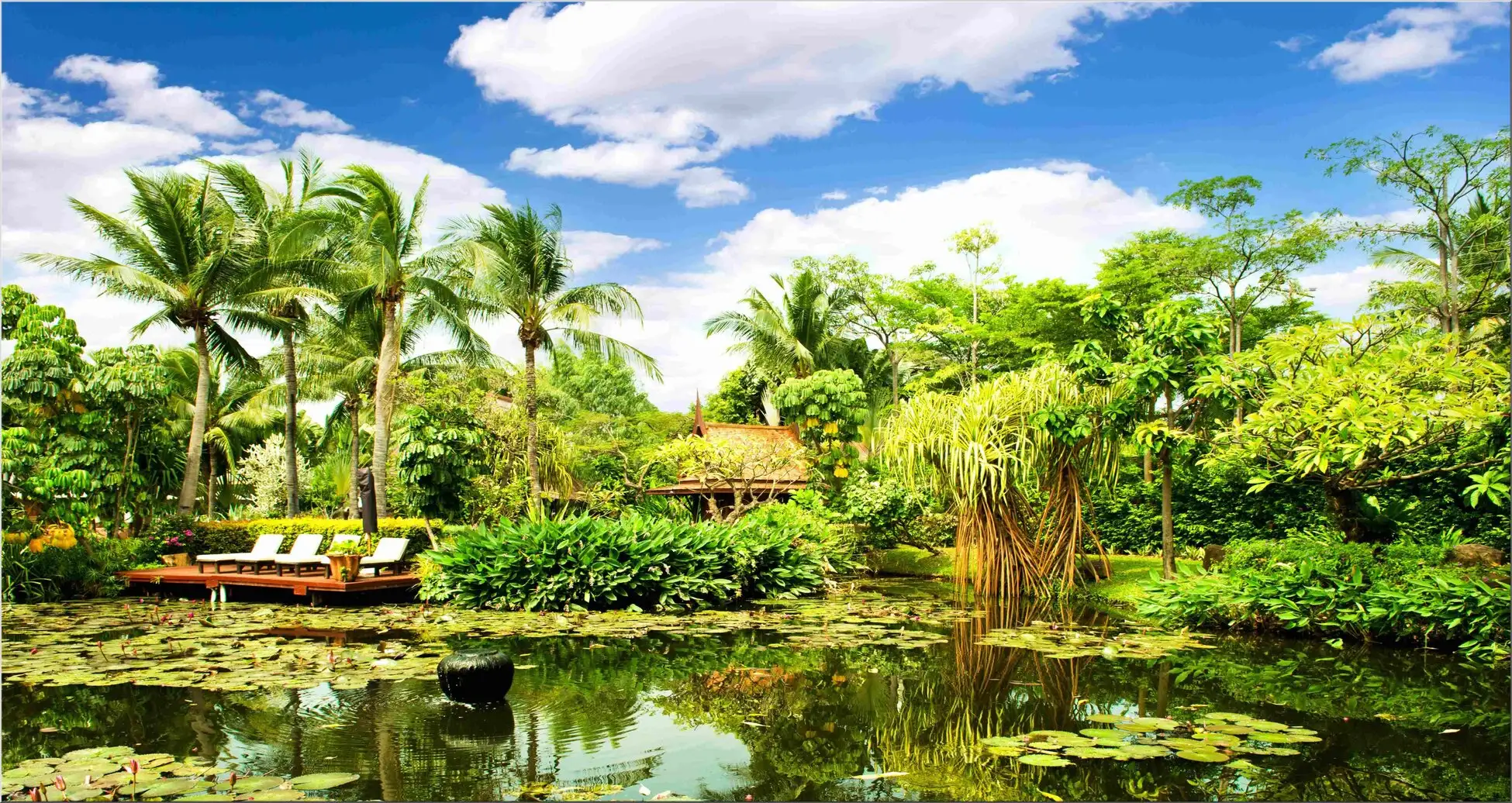 Sonnenliege Am Teich Mit Seerosen Und Palmen, Sonnenliege Am Teich Mit Seerosen Und Palmen