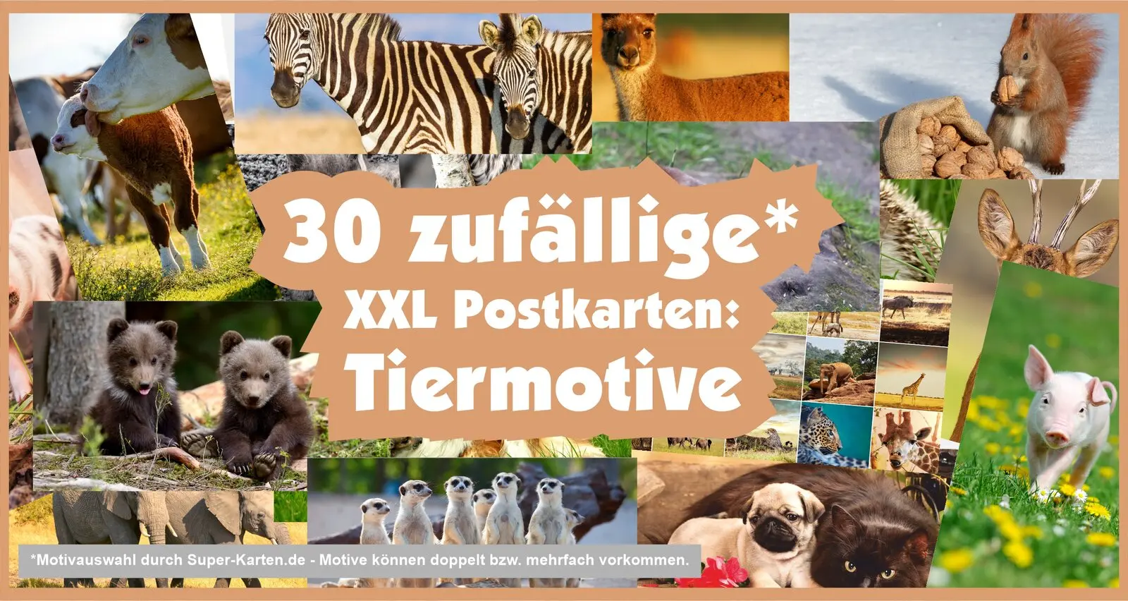 30 zufällige xxl Postkarten Tiermotive verschiedene
