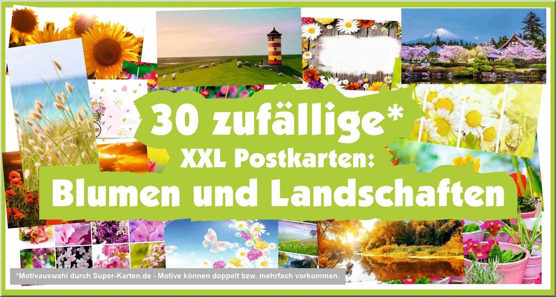 XXL-Postkartenpaket 30 Blumen und Landschaften